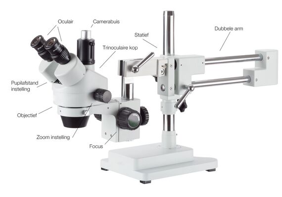 تصویر محصول میکروسکوپ بازویی کایزی مدل 37045A-STL2 تصویر شماره 2 , - فروشگاه فون پارتس